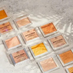 BH Sun Flecks Highlight Bel Air